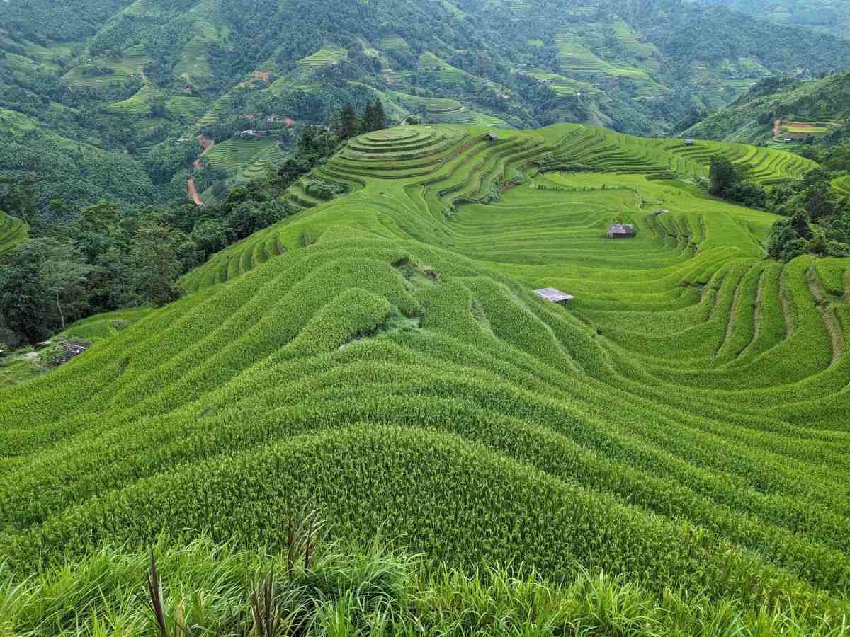 Trek à Hoang Su&nbsp;Phi