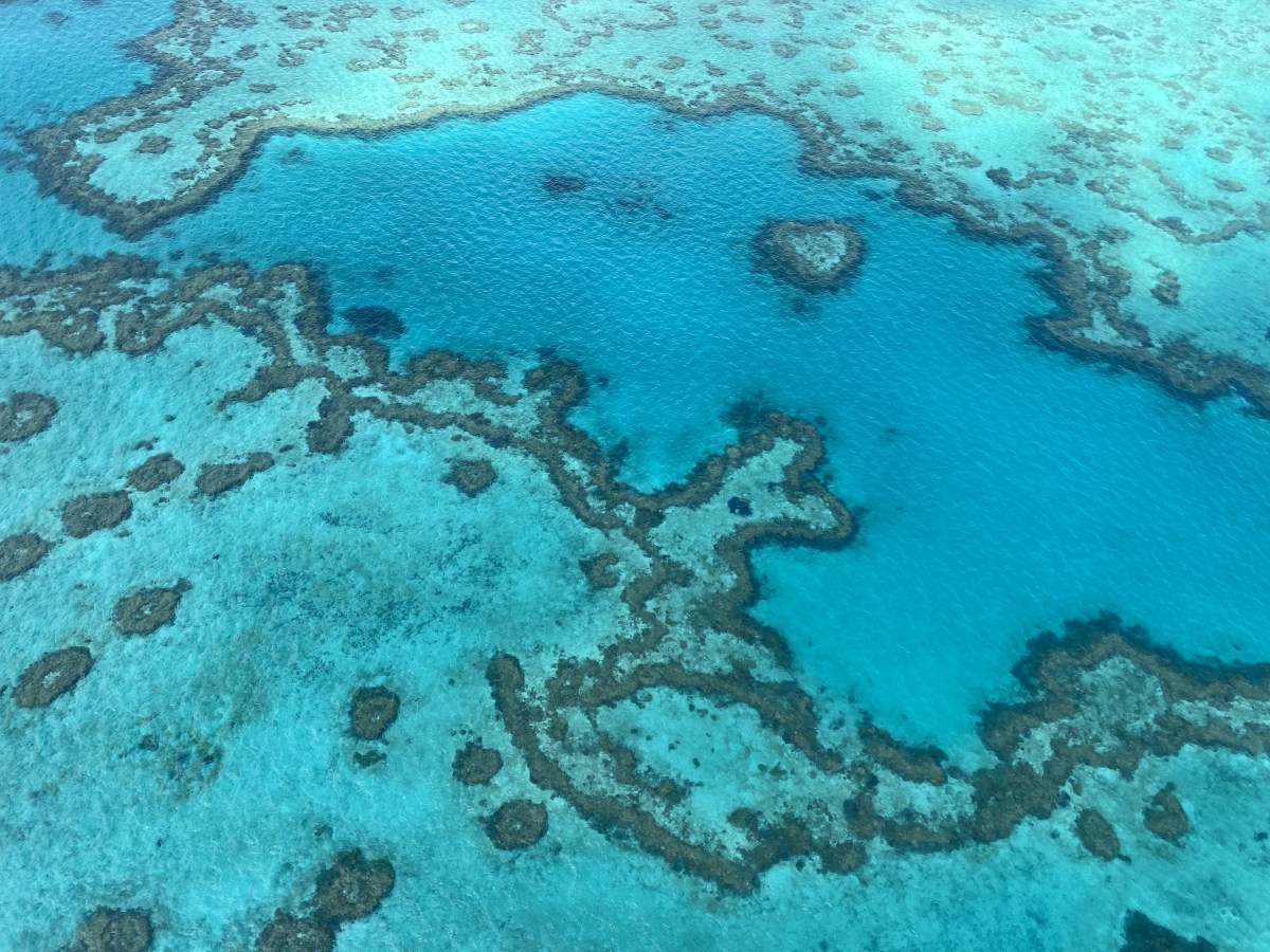 Heart reef