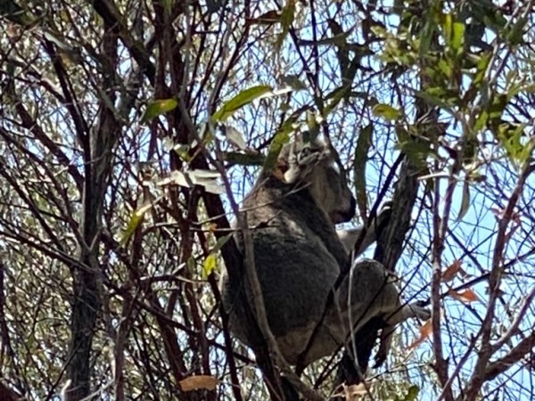 .L&rsquo;île magnétique