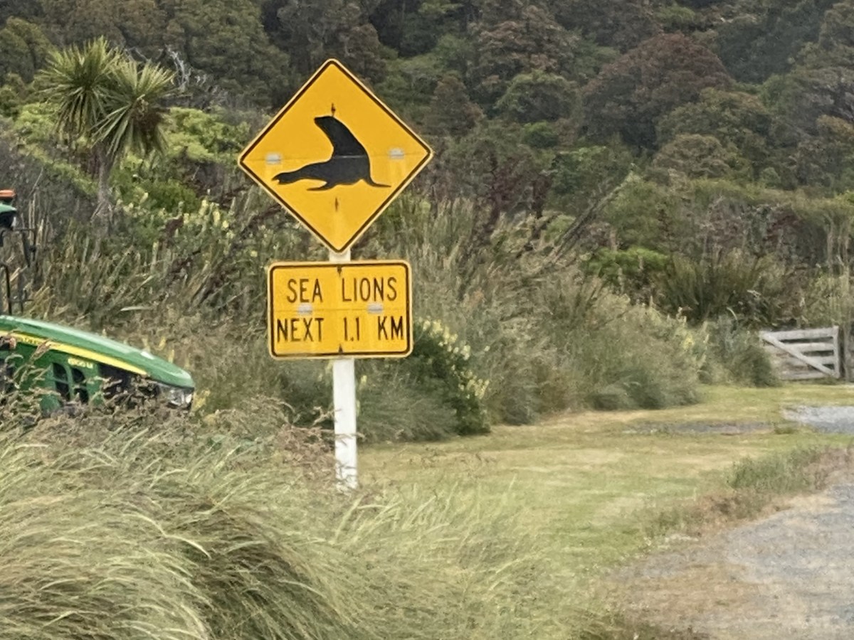 Insolite et réflexions Nouvelle-Zélande