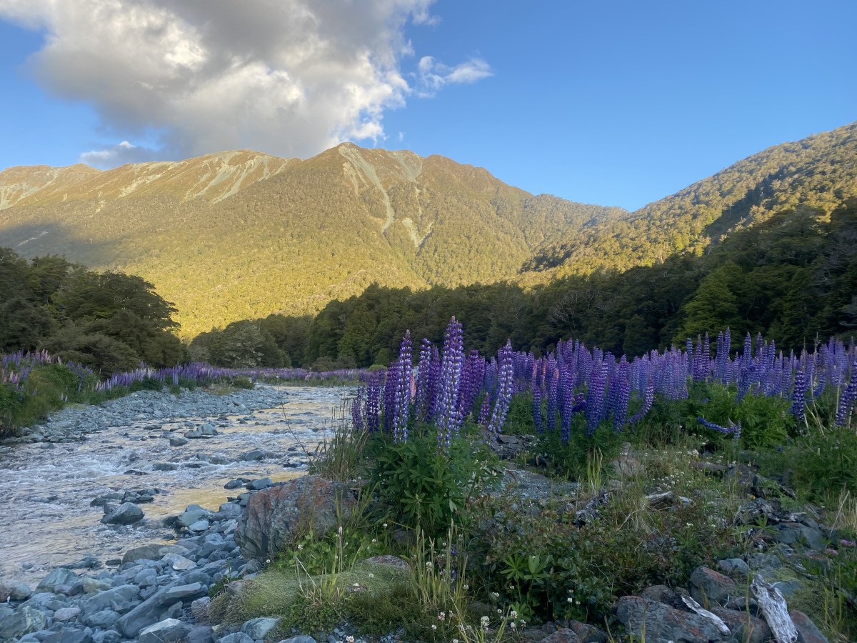 Le Sud de l&rsquo;Ile du&nbsp;Sud.